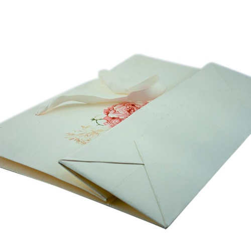 Printed White Craft Paper Bag with Ribbon Handle