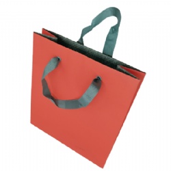 Custom Paper Gift Bag Shopping Bag Promotion Bag