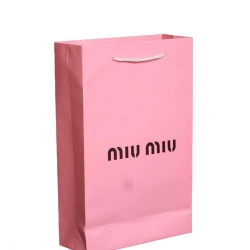 Fashionable Paper Bag for Shopping